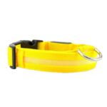 Collar Con Luces Led Para Mascotas Recargable