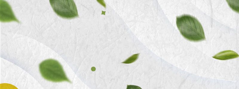 linea eco