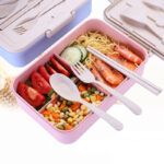 Porta Comida + Cubiertos En Fibra de Trigo 1200 ml